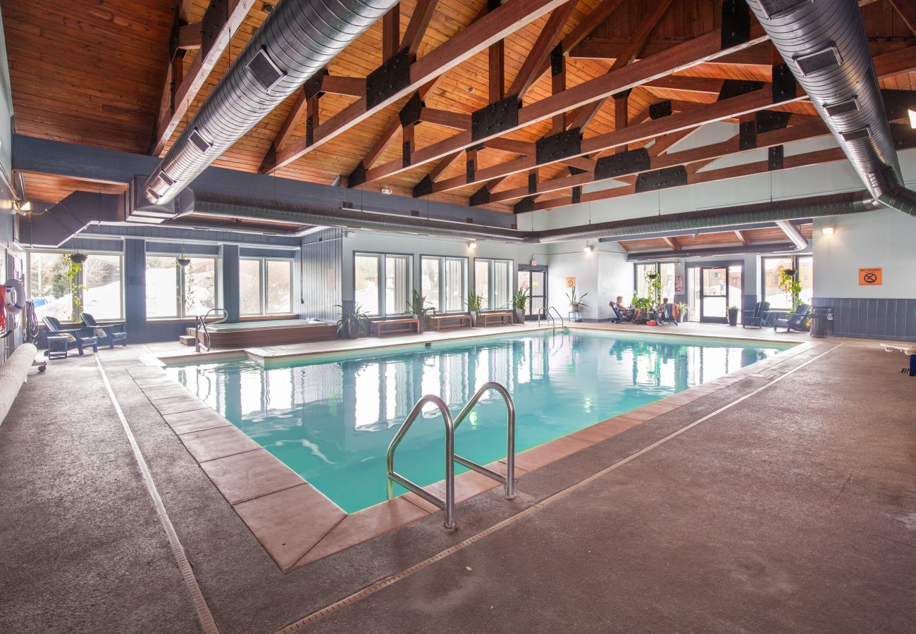 Chalet in Breckenridge - Tiger Run #91