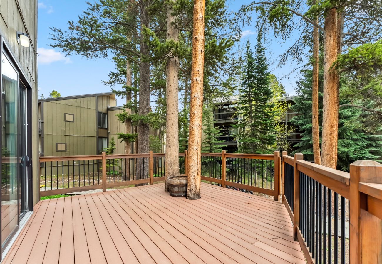 Condominium in Breckenridge - Gold Camp #97F