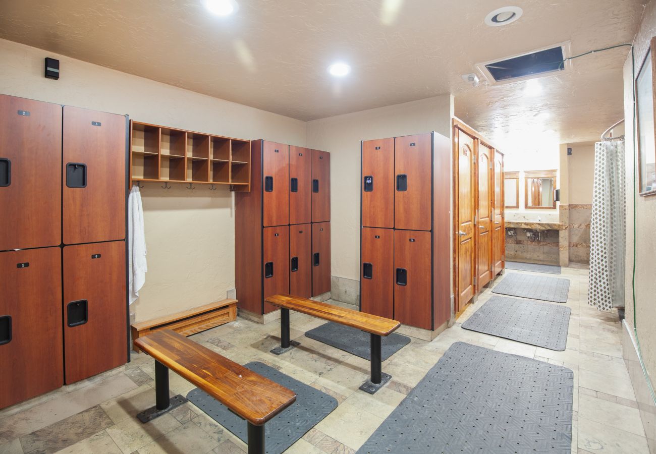 Chalet in Breckenridge - Tiger Run #30