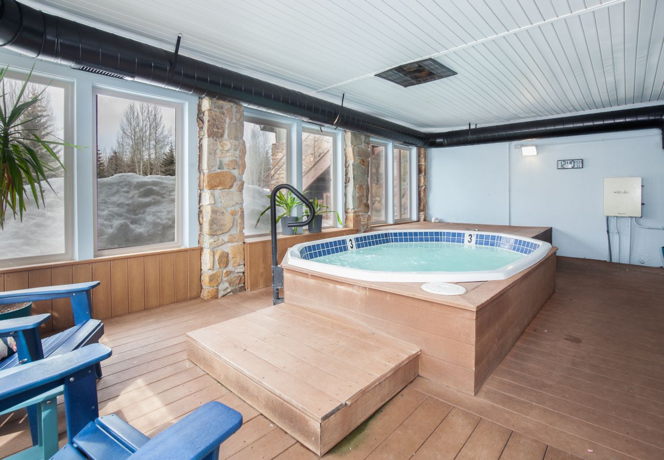 Chalet in Breckenridge - Tiger Run #30
