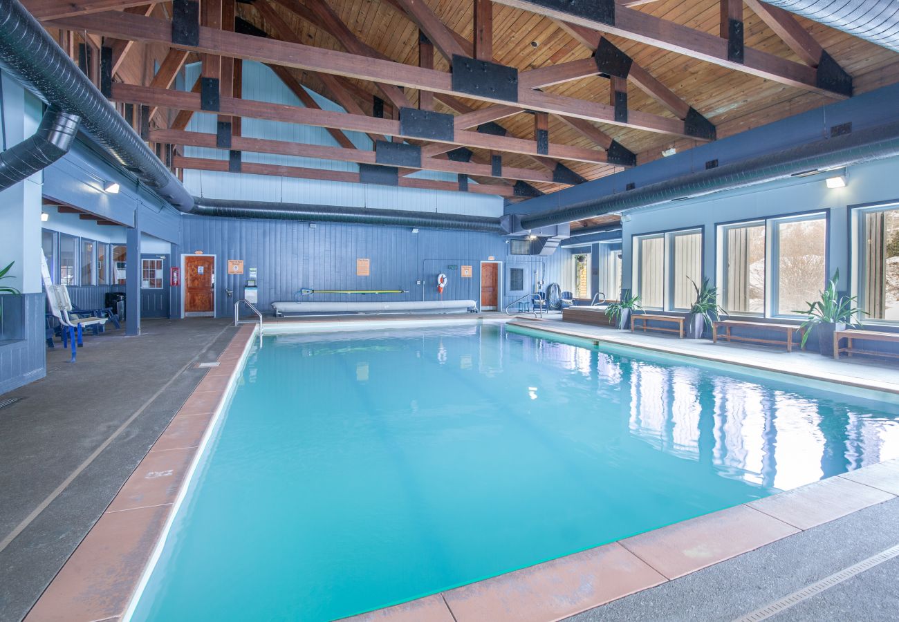 Chalet in Breckenridge - Tiger Run #30