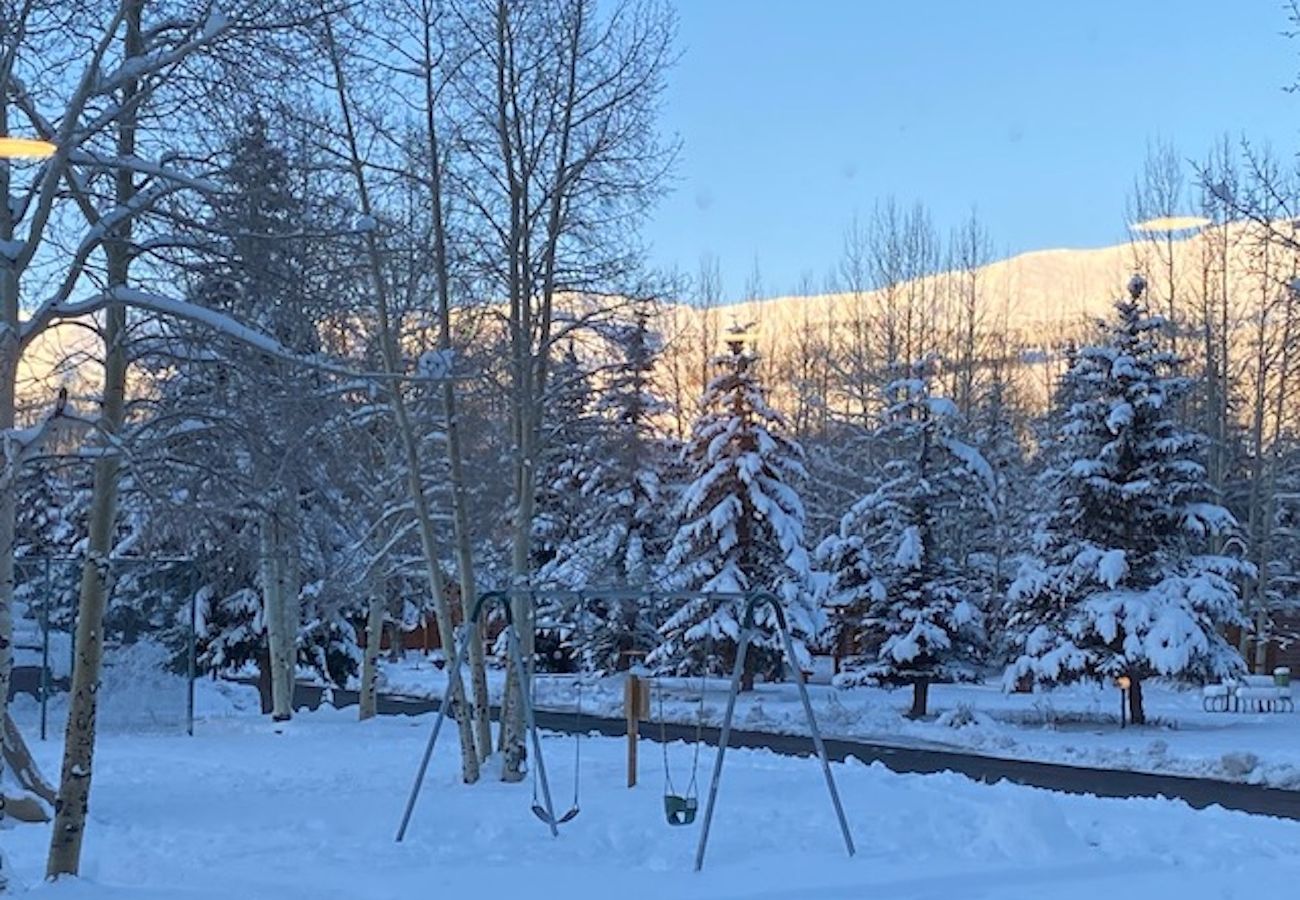 Chalet in Breckenridge - Tiger Run #30