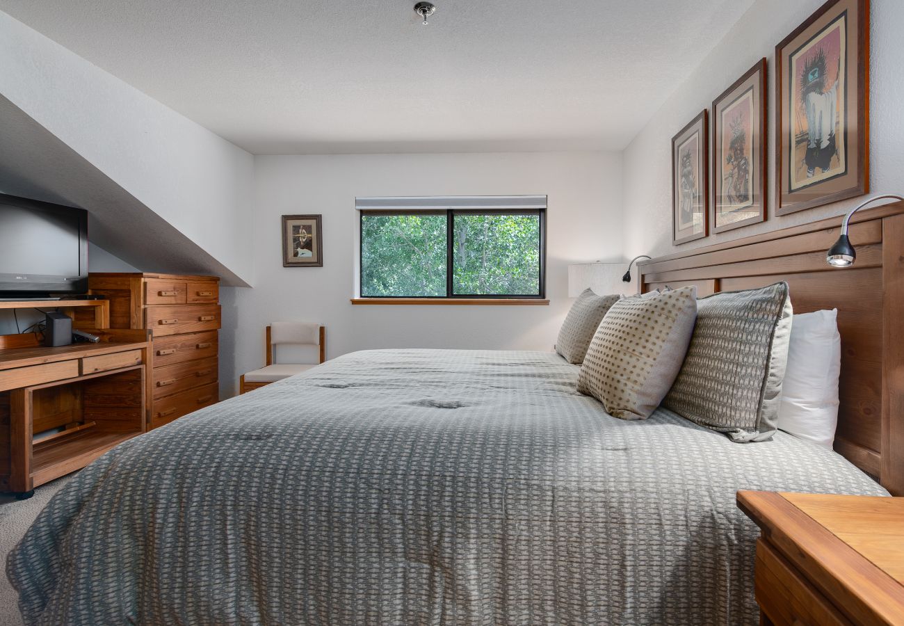 Condominium in Frisco - Mountain Side #200J