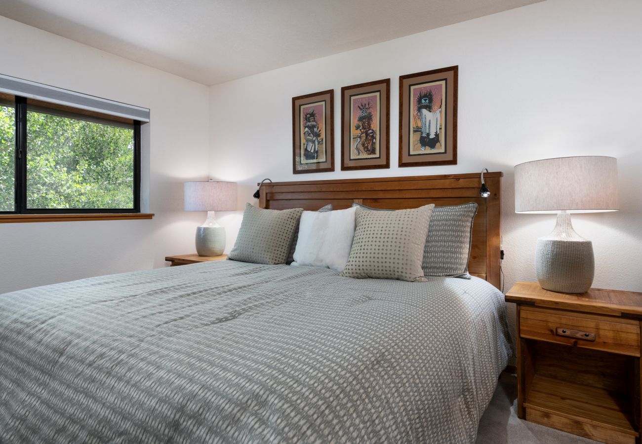 Condominium in Frisco - Mountain Side #200J