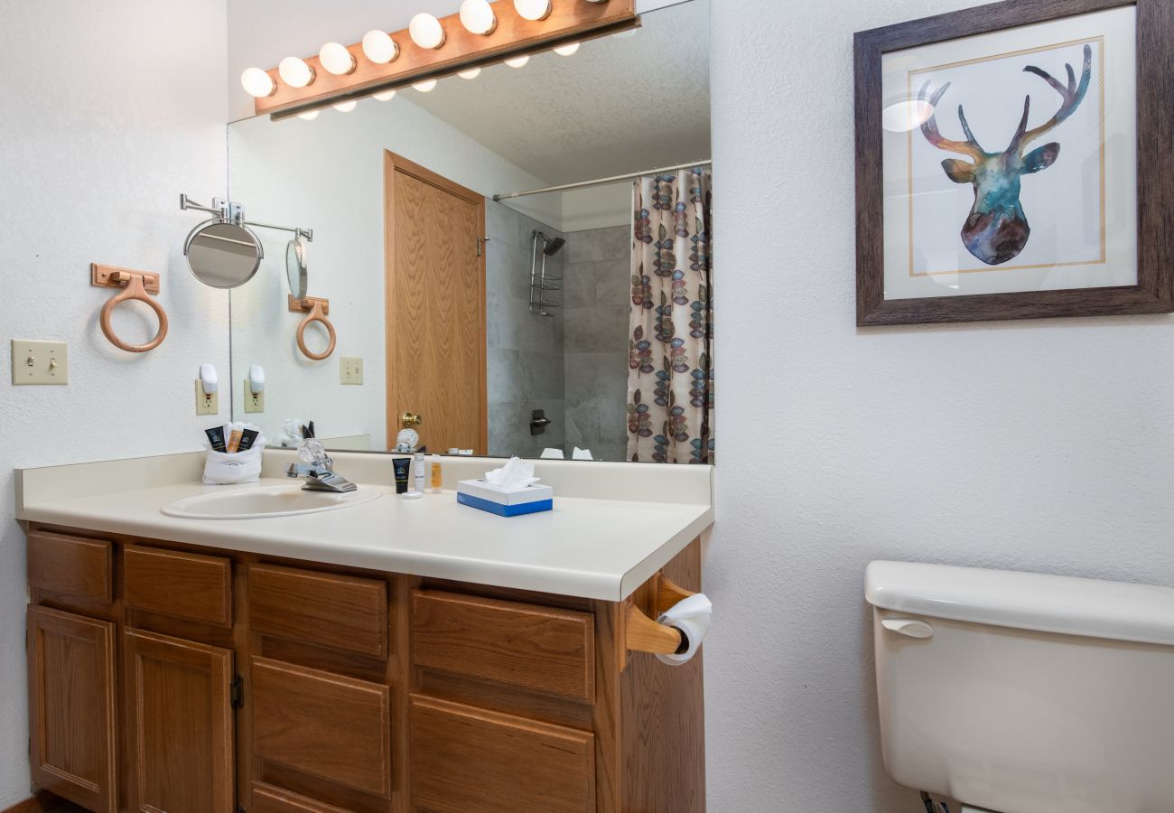 Condominium in Frisco - Mountain Side #200J