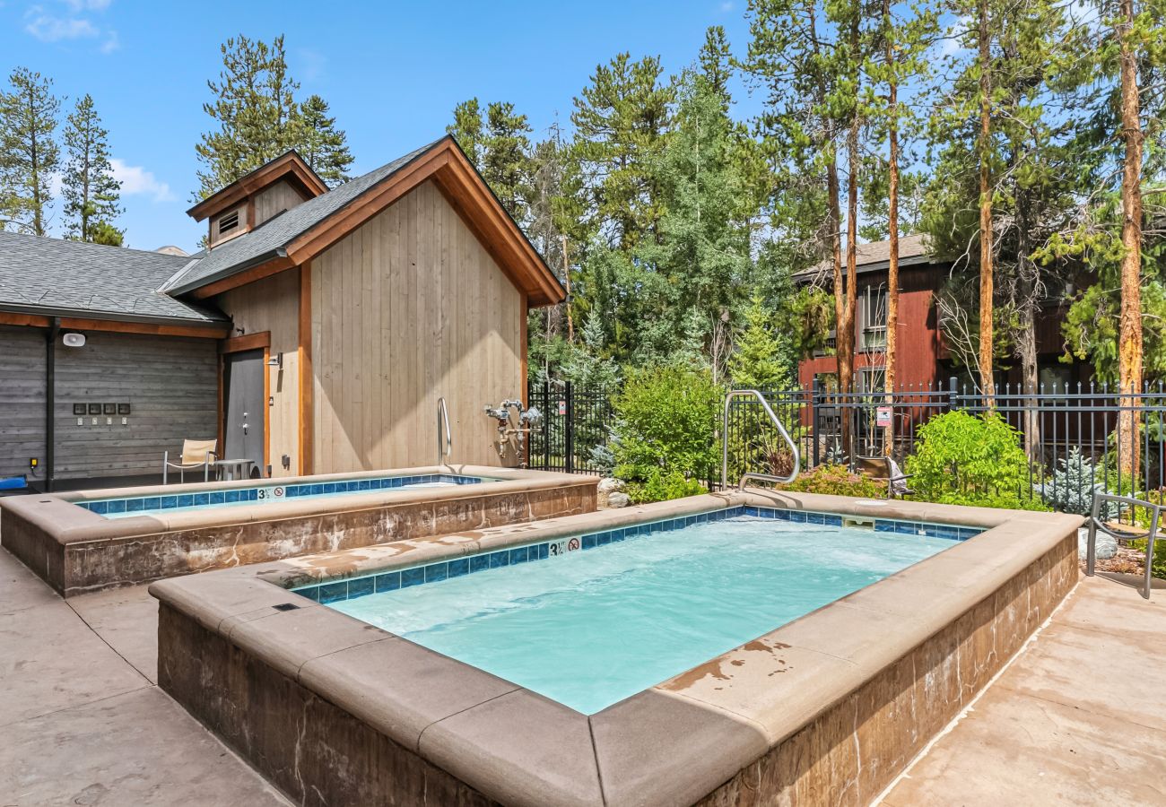 Condominium in Breckenridge - Inner Circle #10