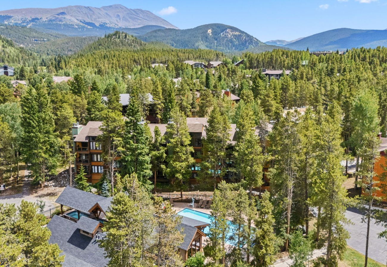 Condominium in Breckenridge - Inner Circle #10
