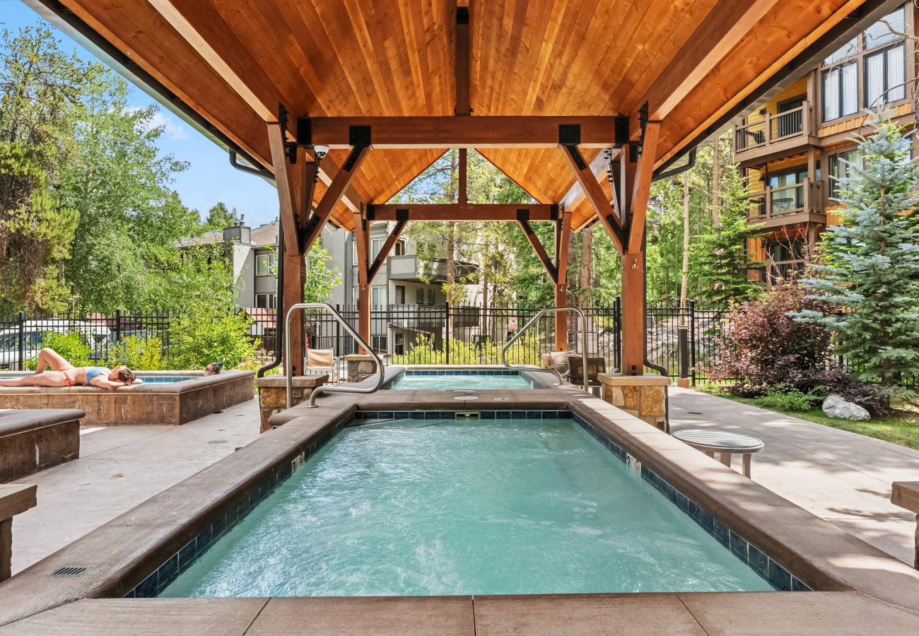Condominium in Breckenridge - Inner Circle #5