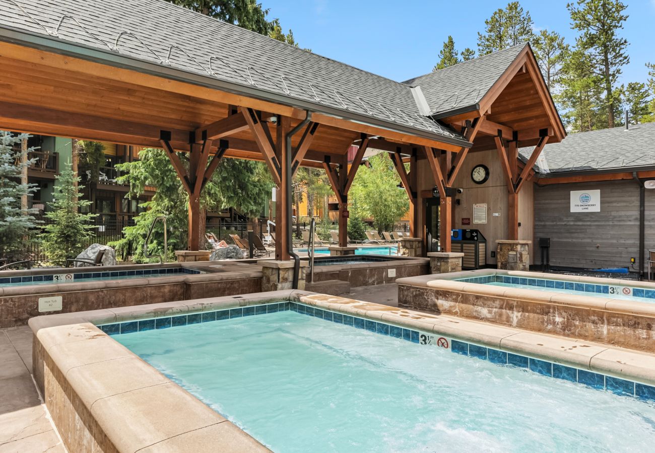 Condominium in Breckenridge - Inner Circle #5