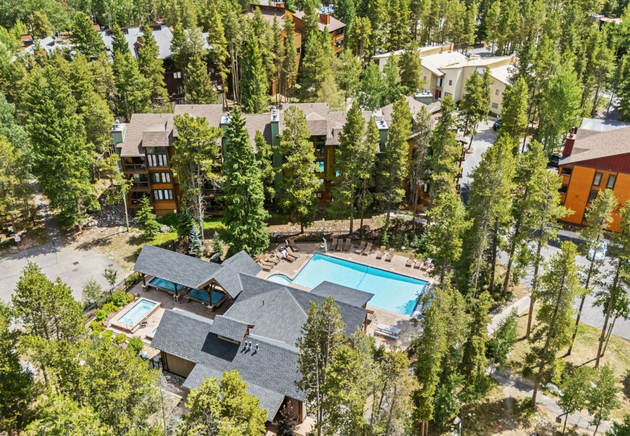 Condominium in Breckenridge - Inner Circle #5