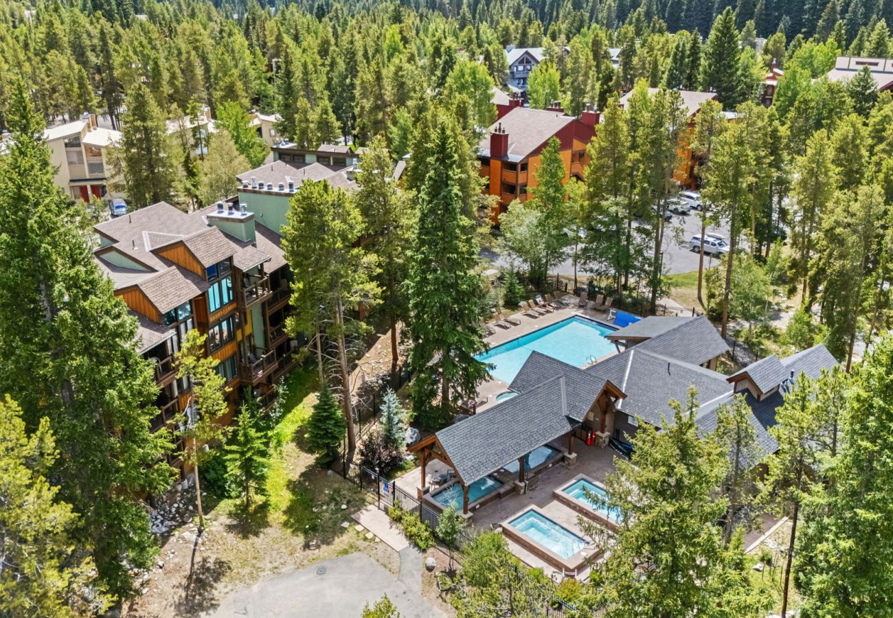 Condominium in Breckenridge - Inner Circle #5