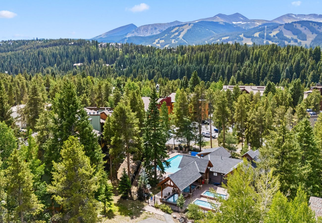 Condominium in Breckenridge - Inner Circle #5