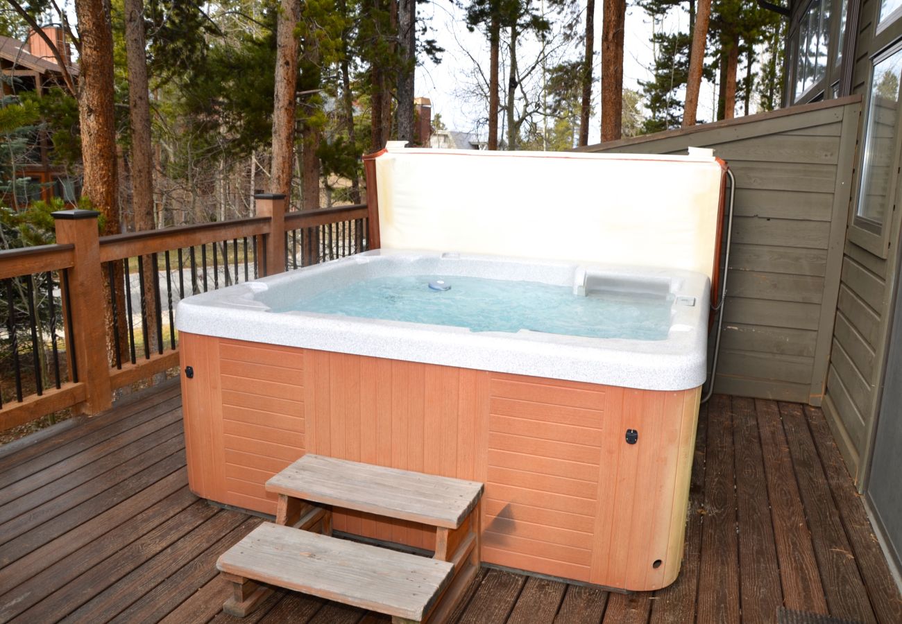 Townhouse in Breckenridge - Village Point #102