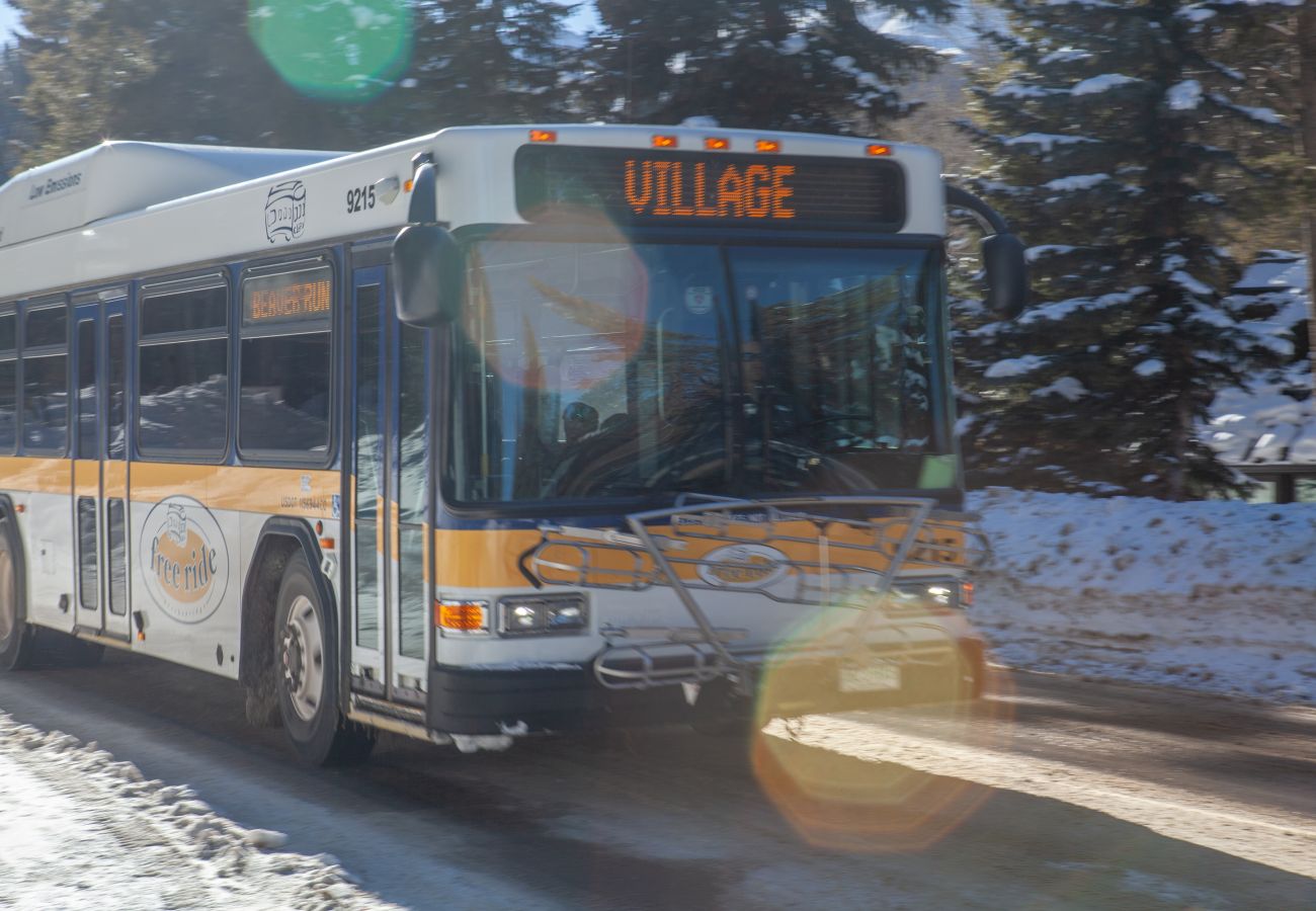 Townhouse in Breckenridge - Village Point #102