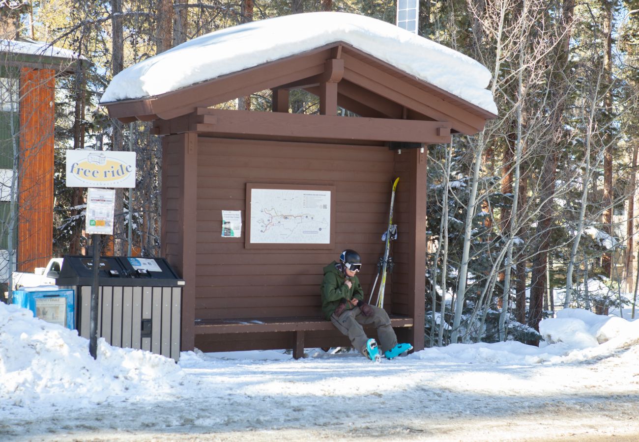 Townhouse in Breckenridge - Village Point #102