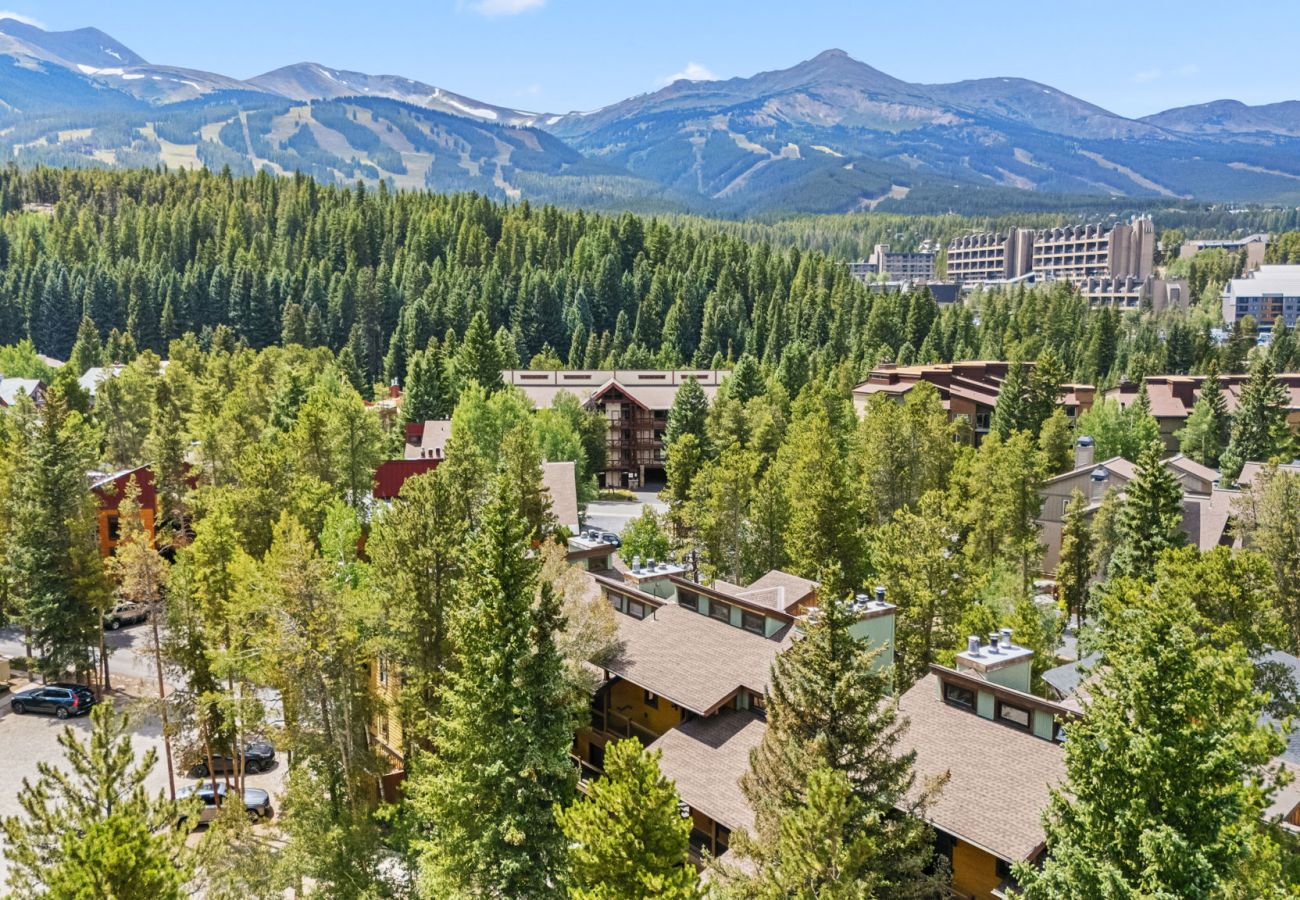 Townhouse in Breckenridge - Village Point #102