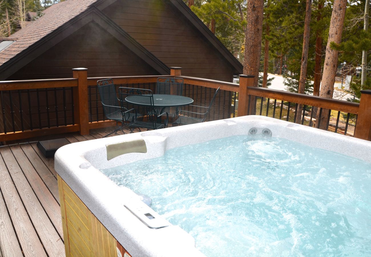 Townhouse in Breckenridge - Village Point #102