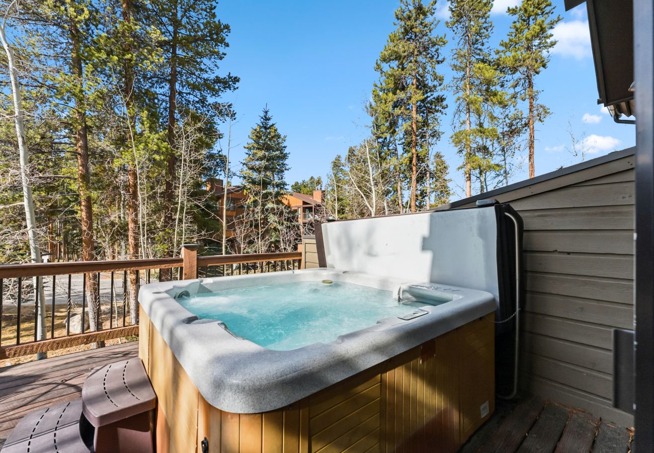 Townhouse in Breckenridge - Village Point #102