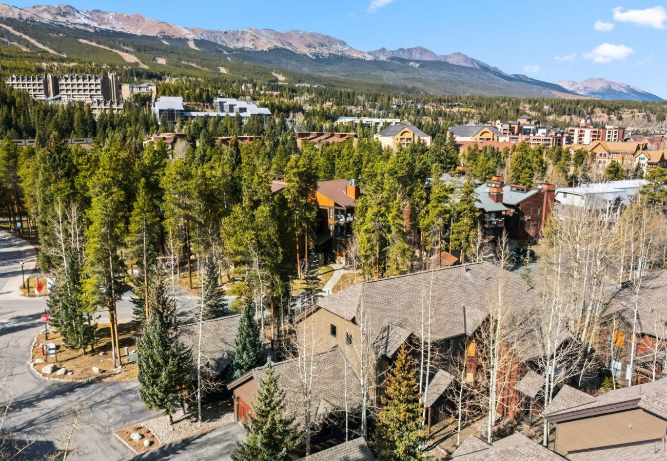 Townhouse in Breckenridge - Village Point #102