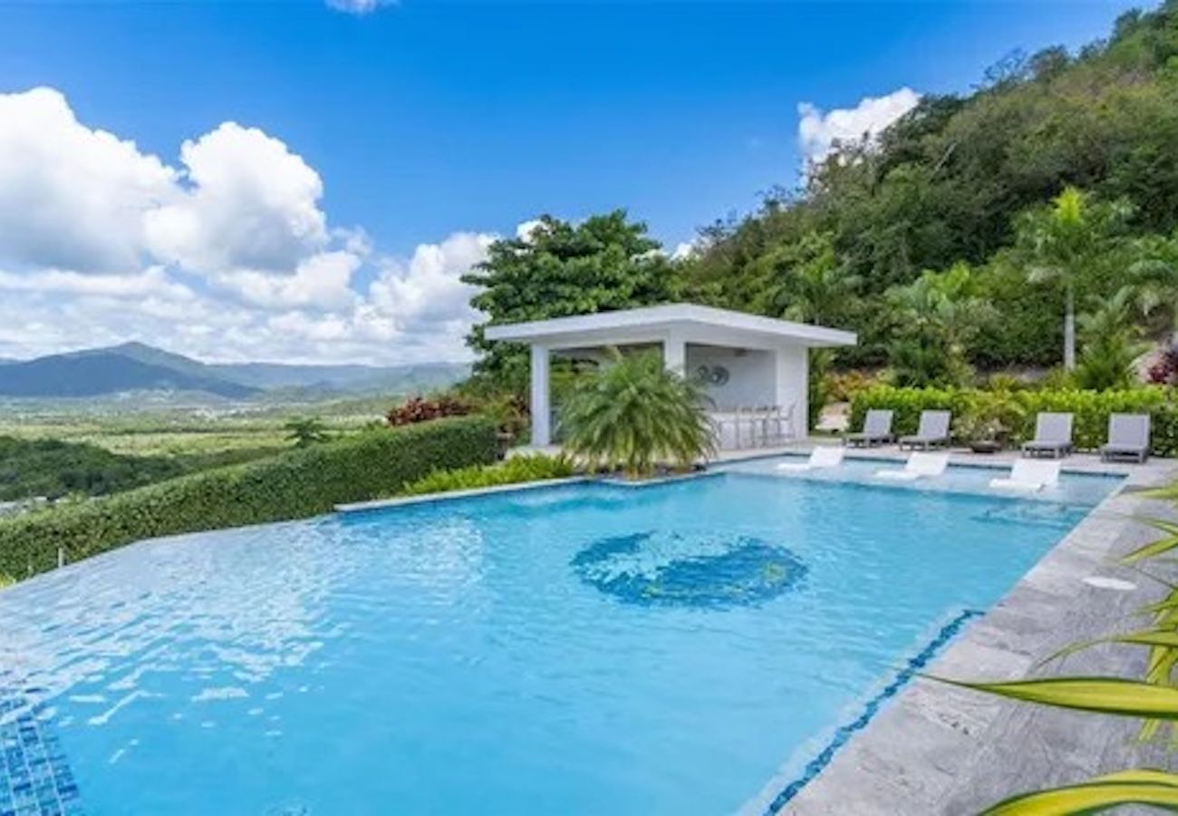 Villa in Patillas - PRX Club