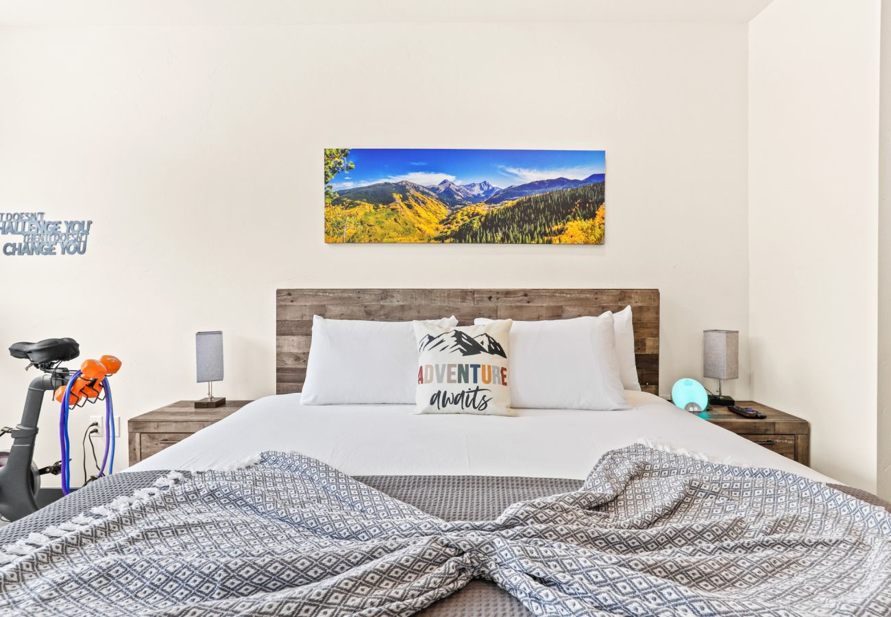 Condominium in Keystone - Clearwater Lofts 1 #202