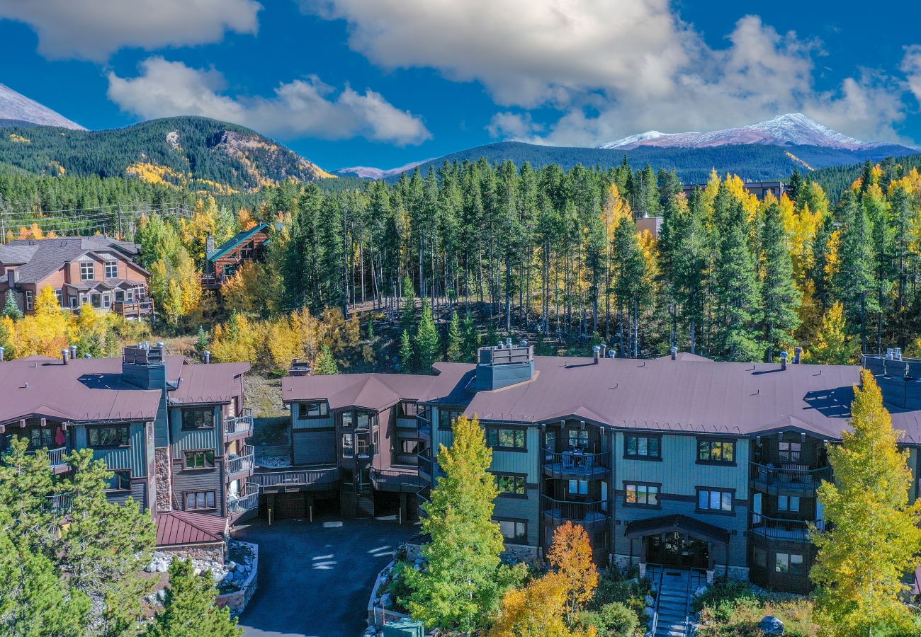 Condominium in Breckenridge - Woods Manor #102A